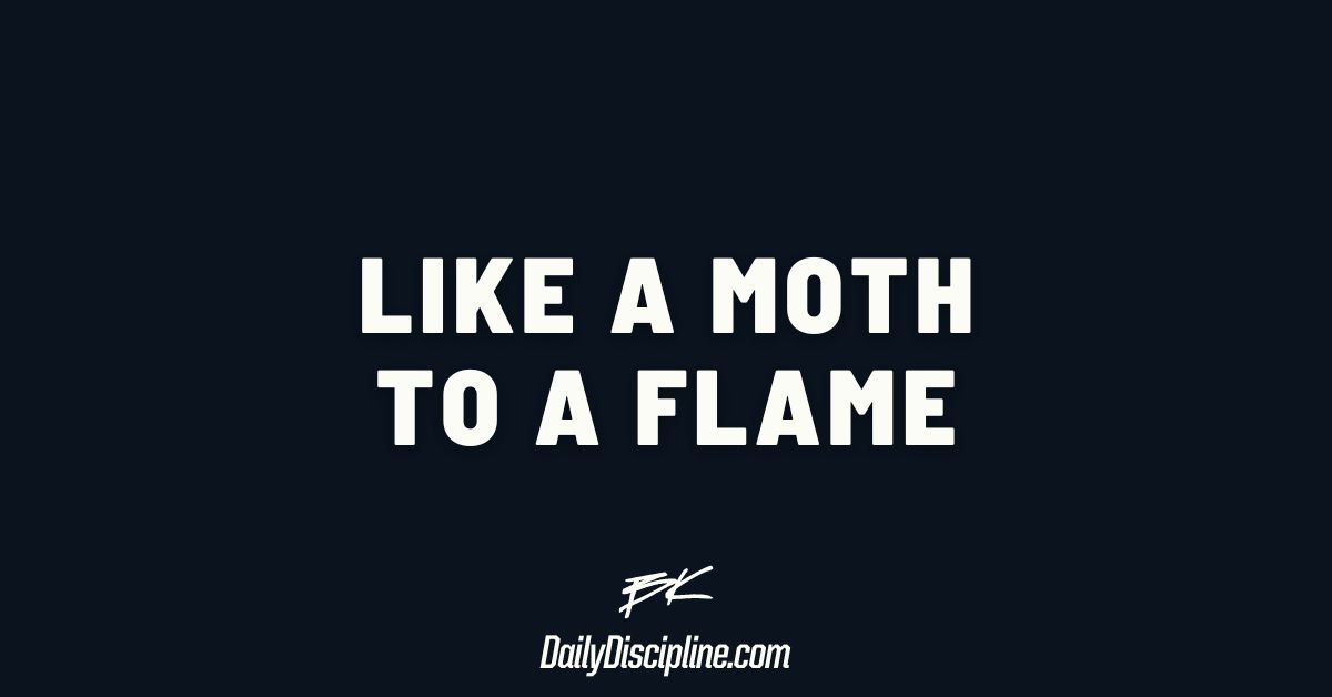 Like a moth to a flame