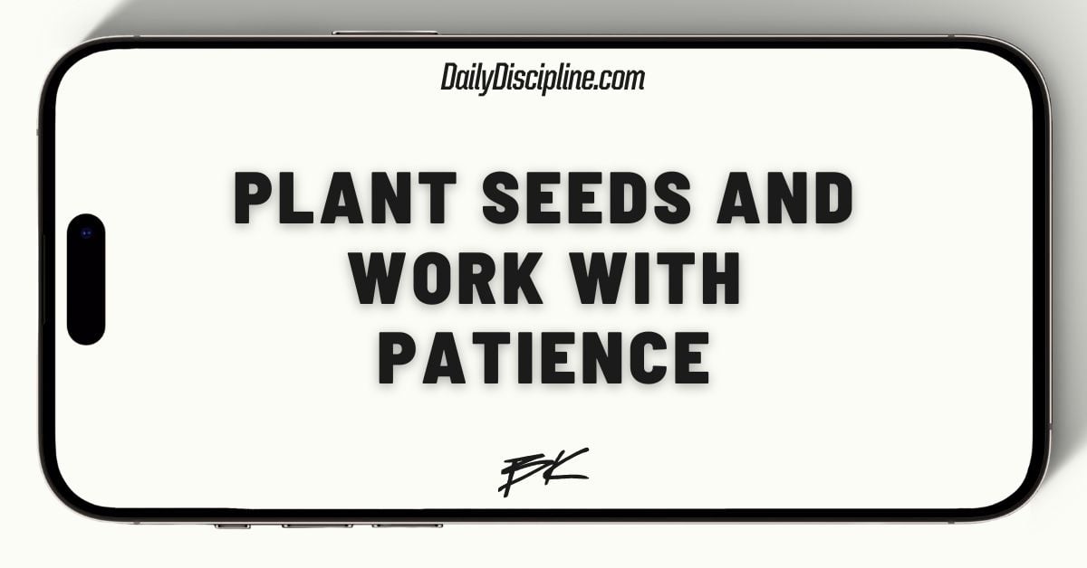 Plant seeds and work with patience