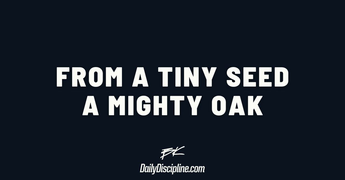 From a tiny seed a mighty oak