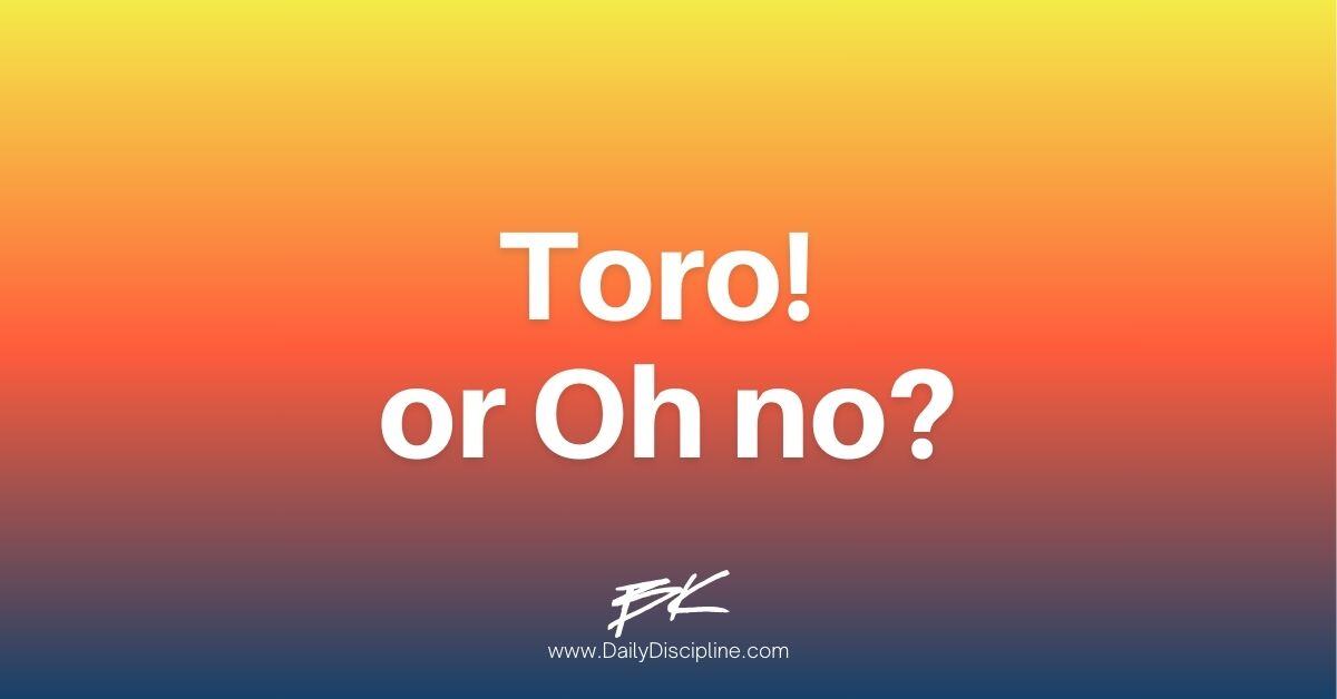 Toro! or Oh no?