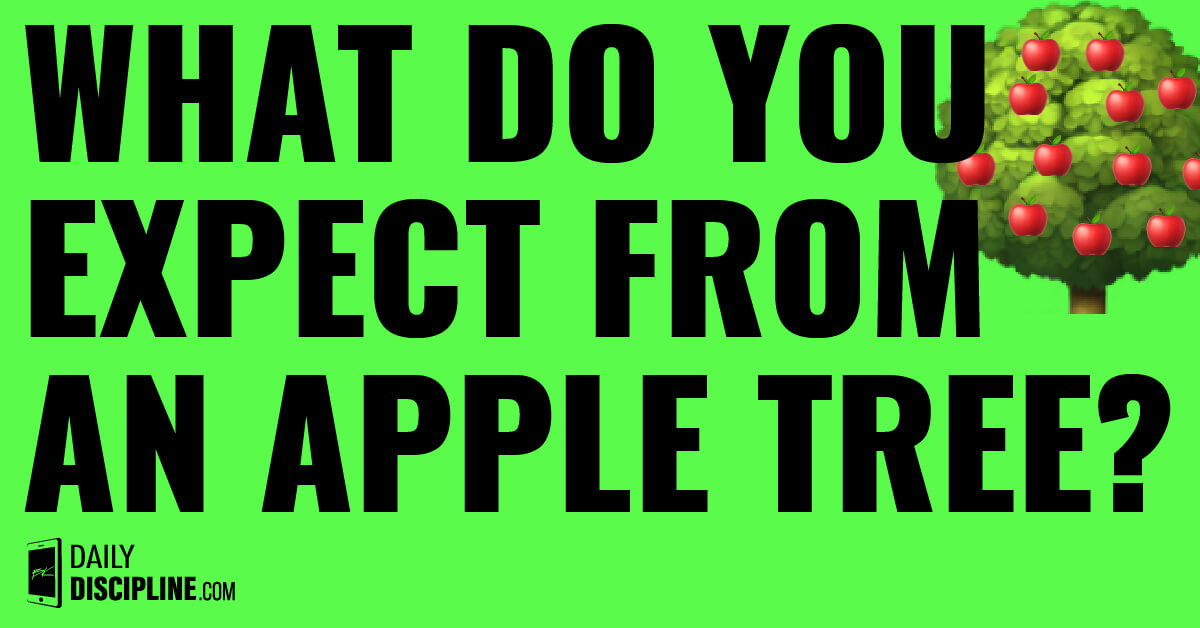 What do you expect from an apple tree?